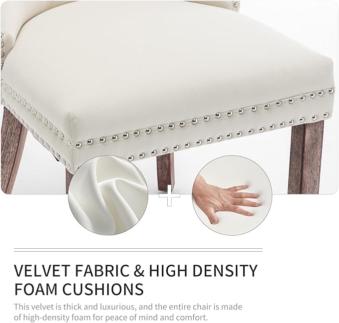 Velvet Dining Chairs Set of 2, Upholstered Dining Room Chairs with Nailhead T...