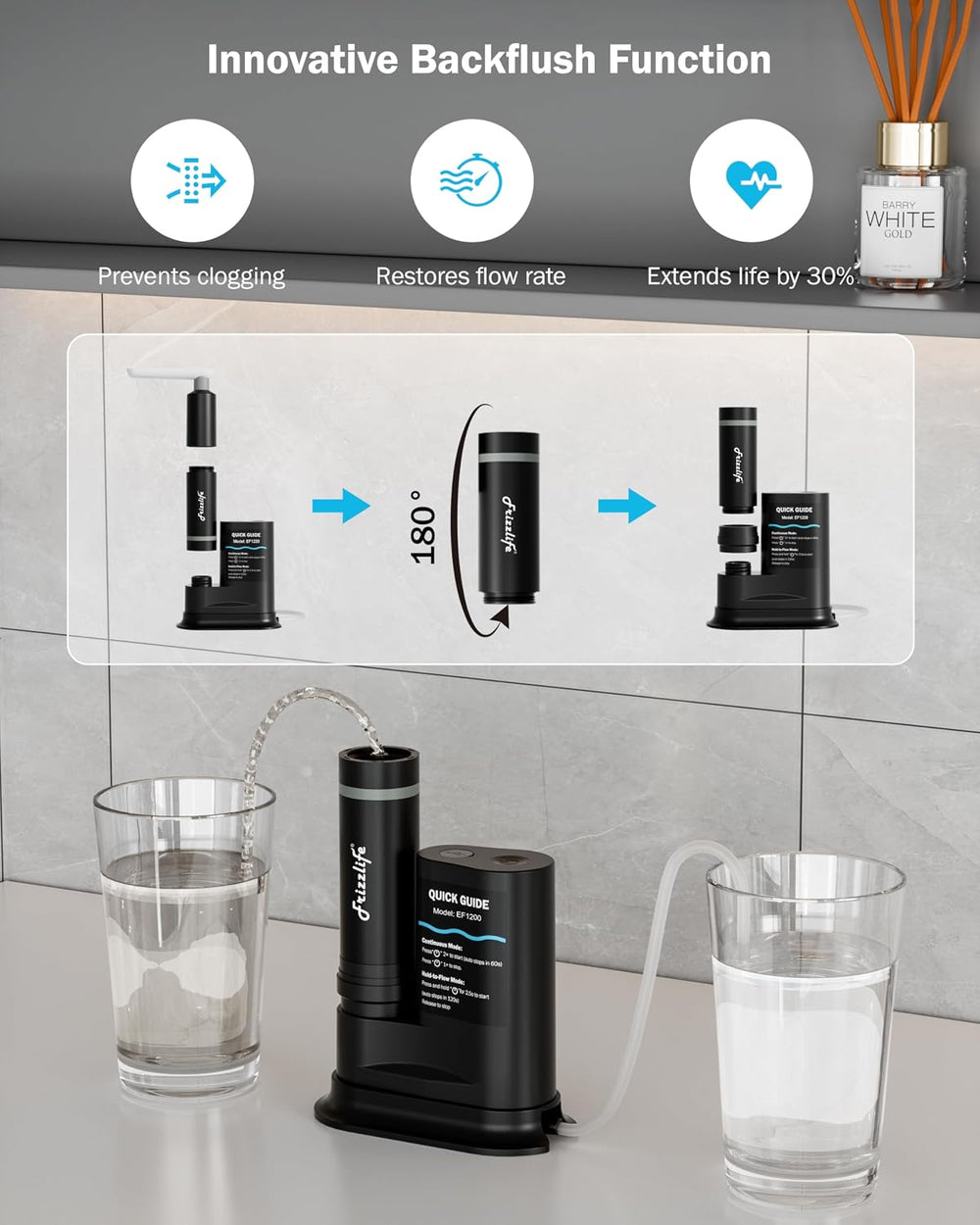 Frizzlife Electric Portable Water Filter for Camping & Emergency, Black