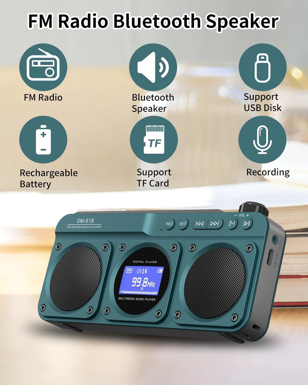 Small Digital FM Radio Bluetooth Speaker, Support USB/SD Card