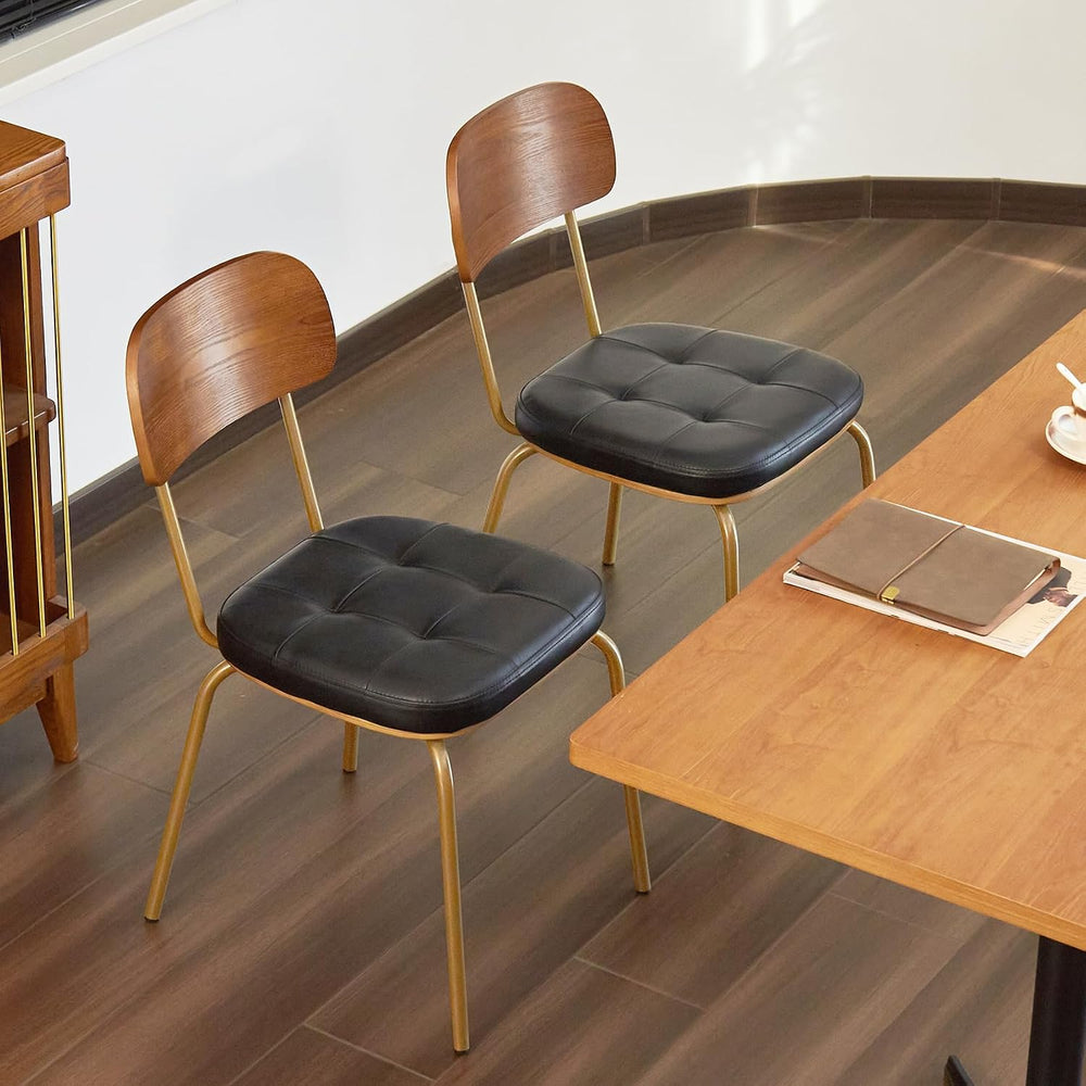 Dining Chairs Set of 2, Mid Century Modern Chairs - Black