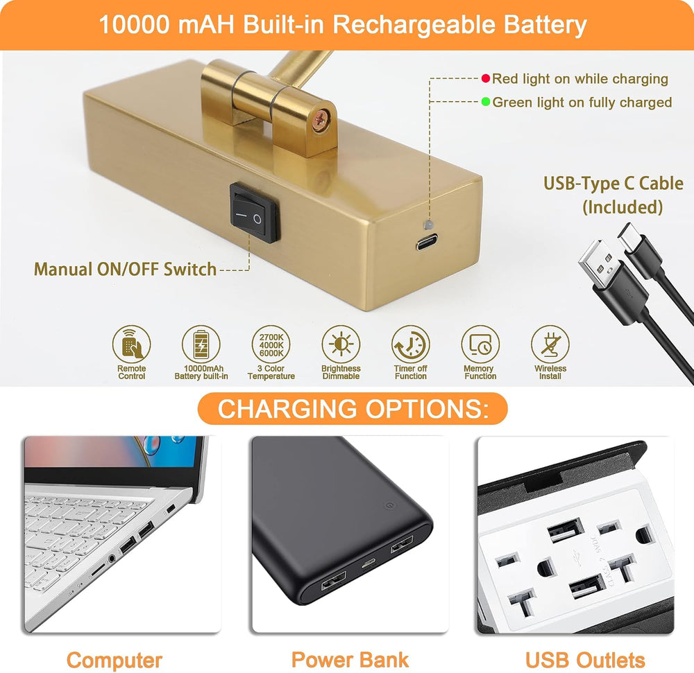 Tassuowell Picture Light Battery Operated with Remote, 3CCT Dimmable Picture ...