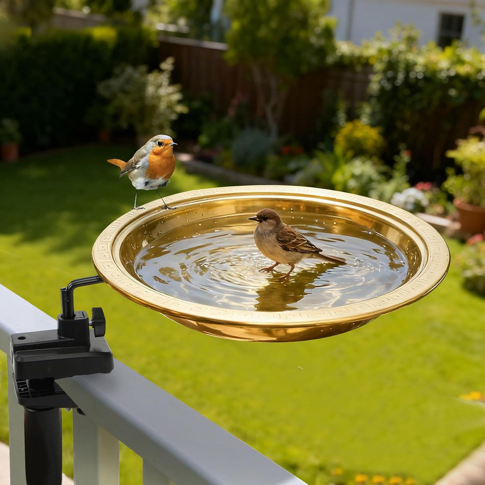 12" Diameter 2.6" Deep Bird Bath with 3" Clamp & Heater Ra...