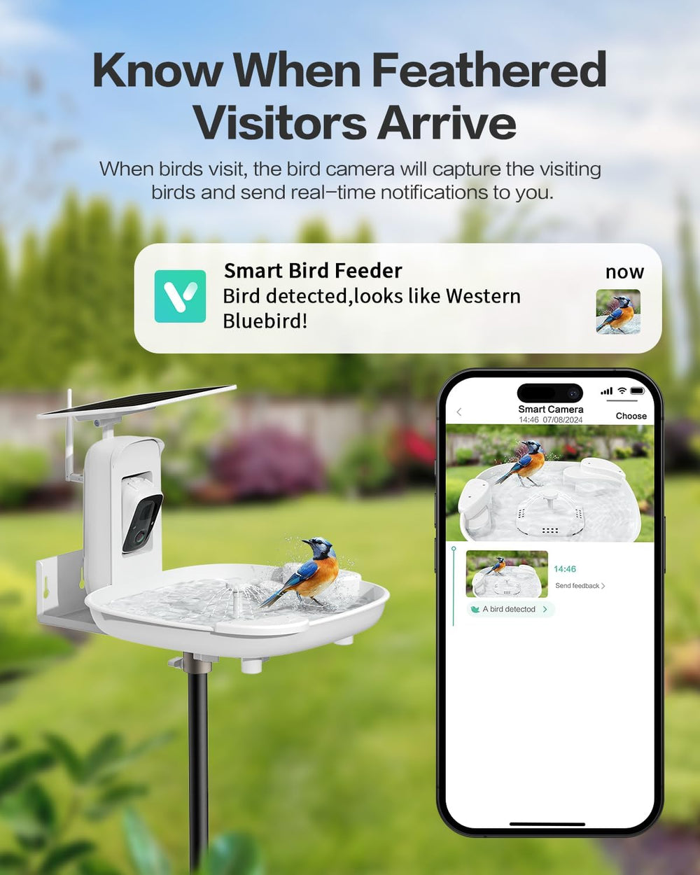 HARYMOR Bird Bath with Camera, Automatic Water Flowing, 2K Bird Camera Captur...