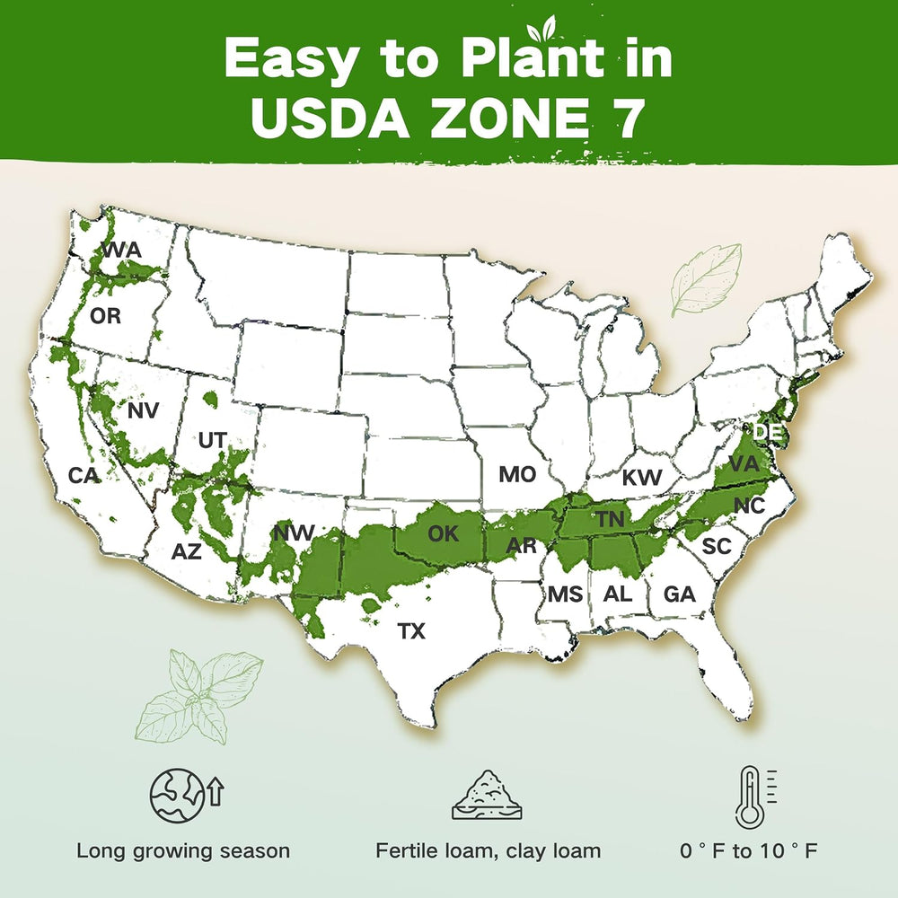 Year-Round Zone 7 Seed Bank, Gift for Mom Dad, 32 Varieties Heirloom Seeds