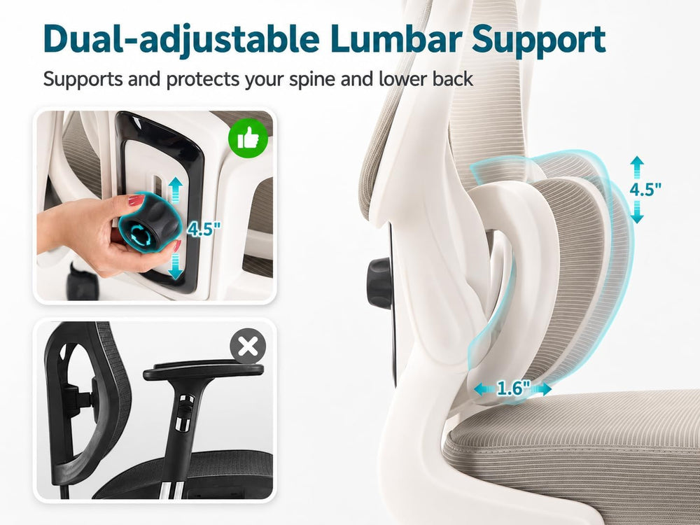 Ergonomic Office Chair with Adjustable Headrest & Lumbar Support, High Ba...