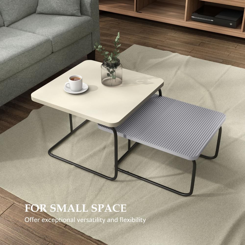 Furniture of America Chaya Modern Square Nesting Coffee Table Set of 2, Two-T...