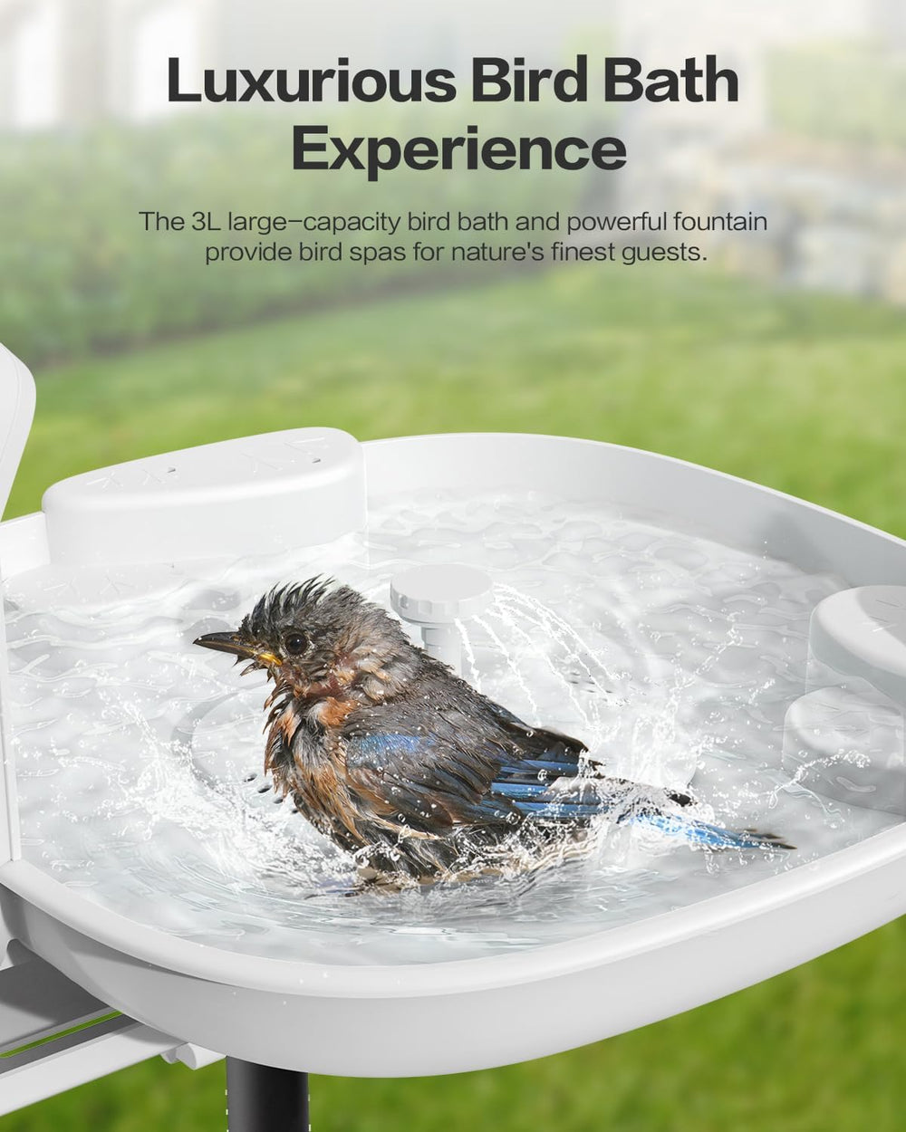 HARYMOR Bird Bath with Camera, Automatic Water Flowing, 2K Bird Camera Captur...
