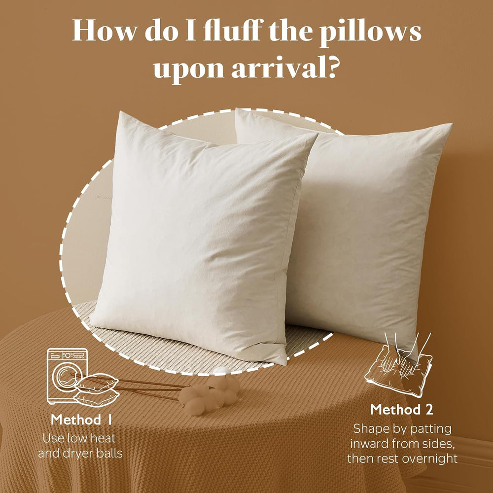 BPC 20x20 Down Feather Throw Pillow Inserts Set of 2, 100% Organic Cotton Cov...