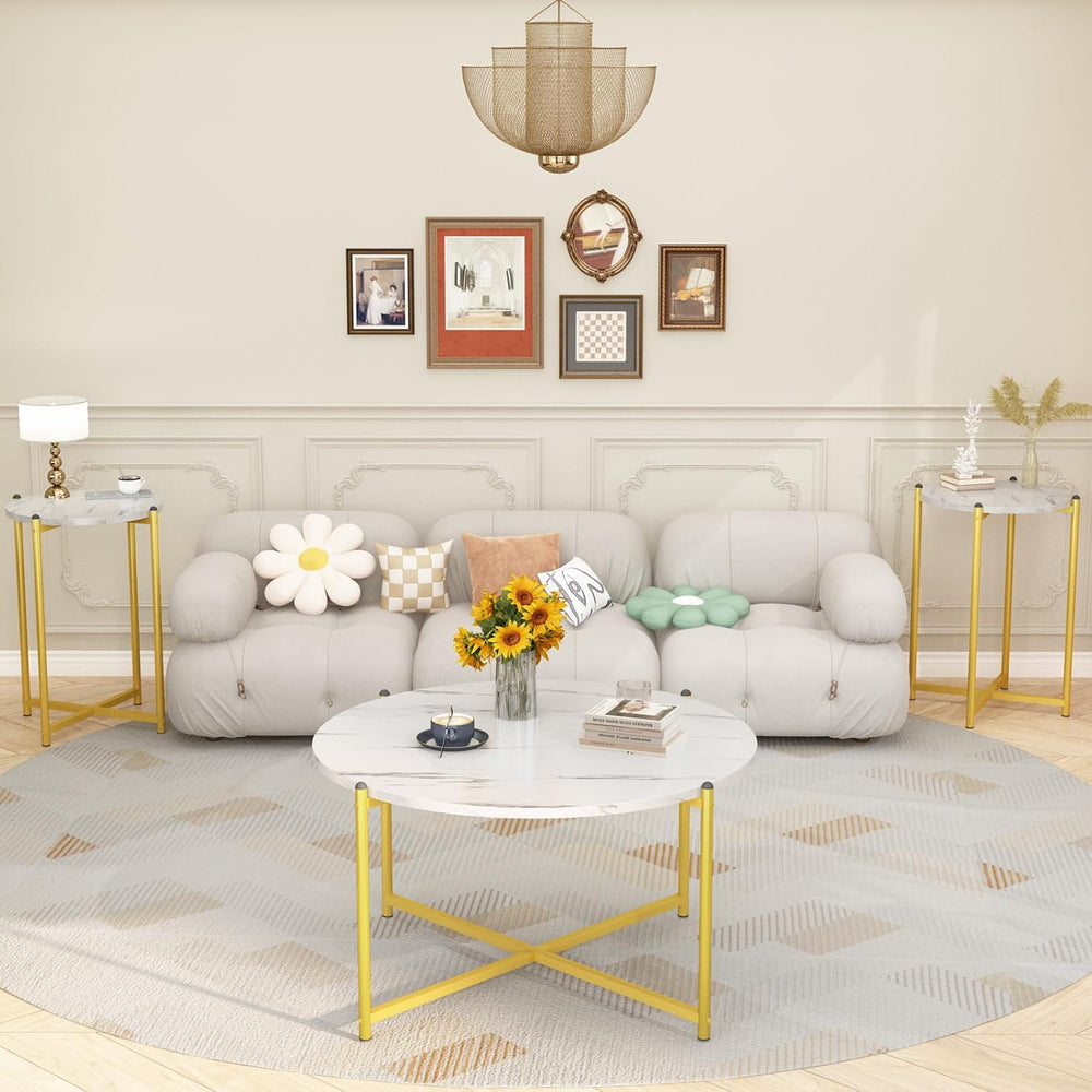 Lamerge Coffee Table Set of 3,Modern Faux Marble Top with Golden Frame,1 Coff...