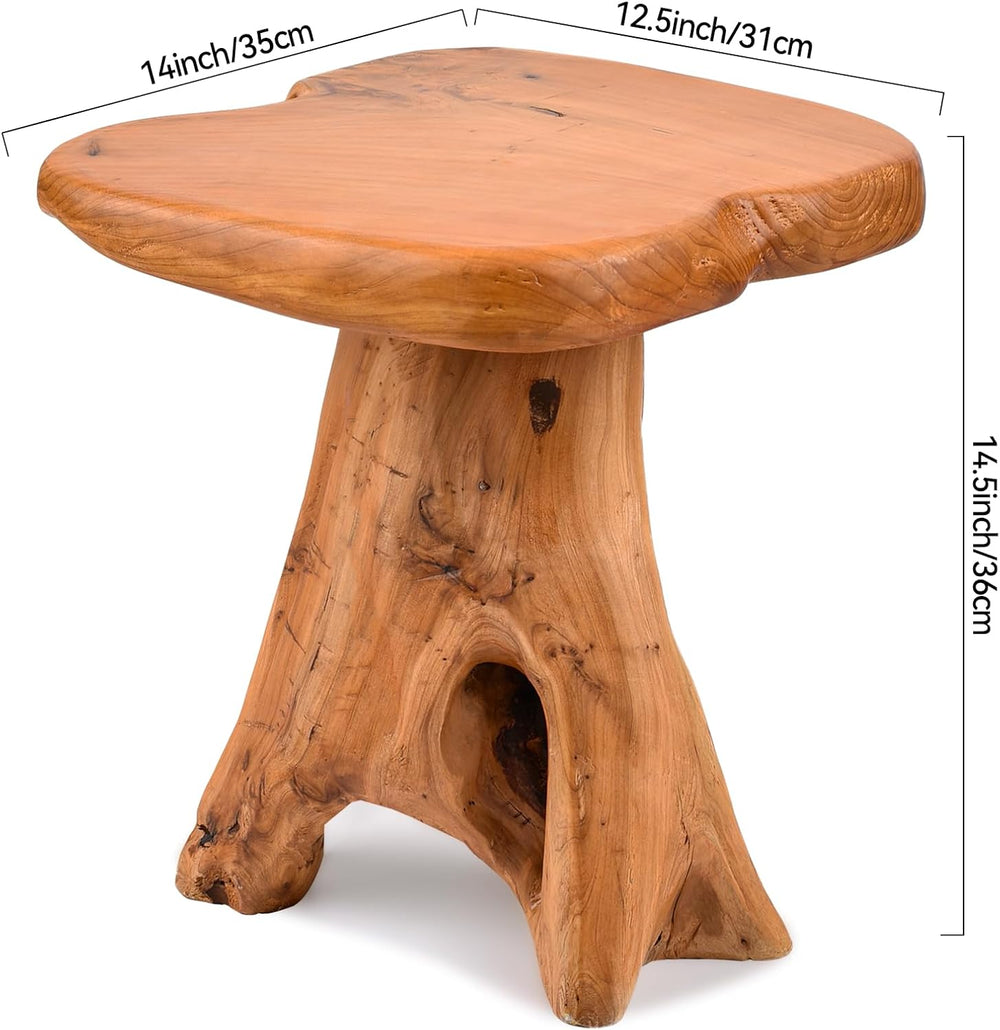 Small Side Table, Freeform Live Edge Wood Stool, Unique Design Natural Plant ...