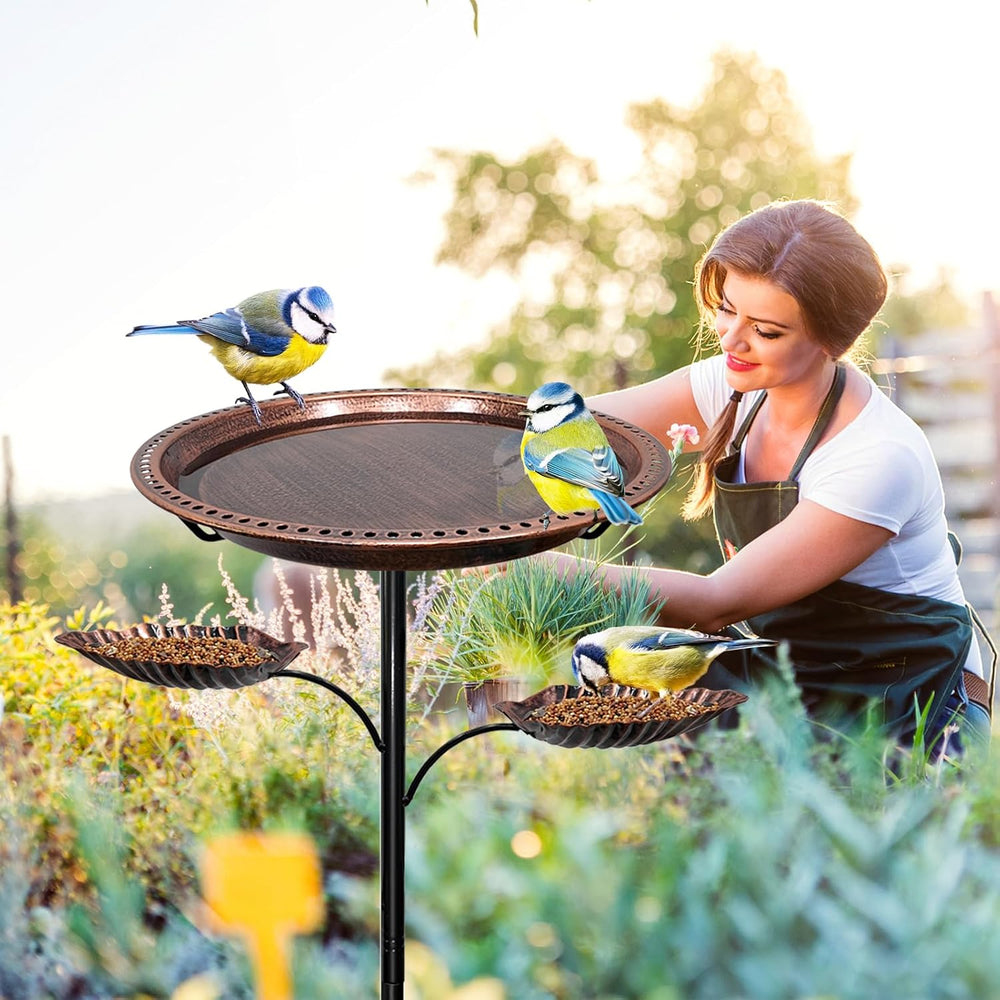 Bird Bath for Outside,2-in-1 Detachable Bird Feeder,Antique Bronze