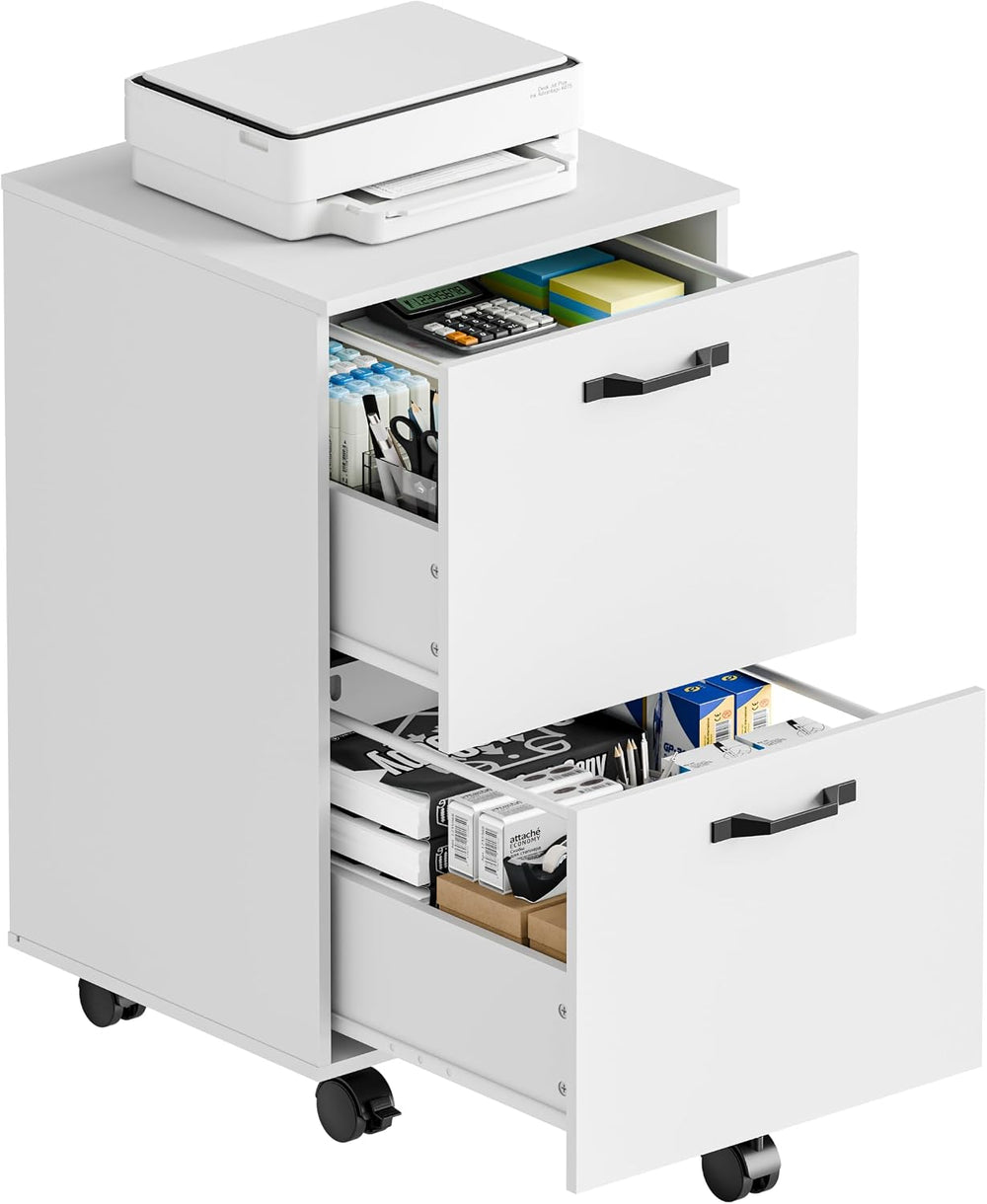 DUMOS 2 Drawer Storage Cabinet, Rolling Under Desk Storage, White | Not for H...