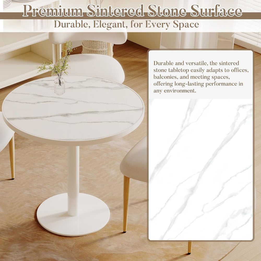 31.5'' Tulip Table, Round Pedestal Dining Table with Sintered Stone T...