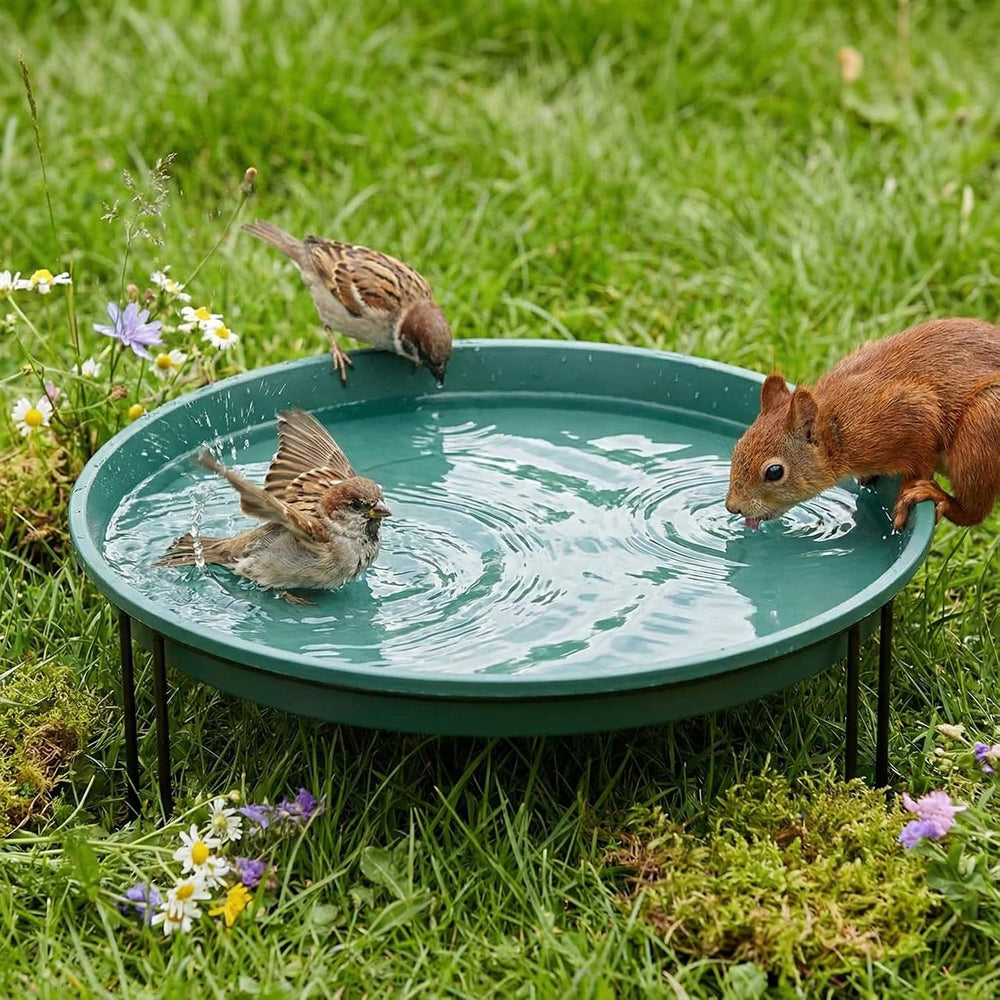 14.37'' Ground Bird Bath for Outside Large Bird Bath, Green