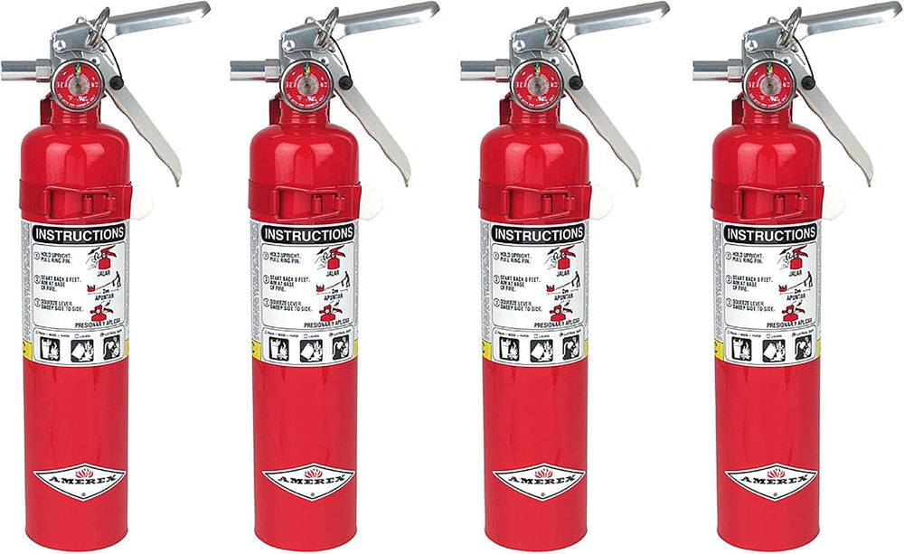 Amerex B417, 2.5lb ABC Dry Chemical Class A B C Fire Extinguisher, with Wall ...