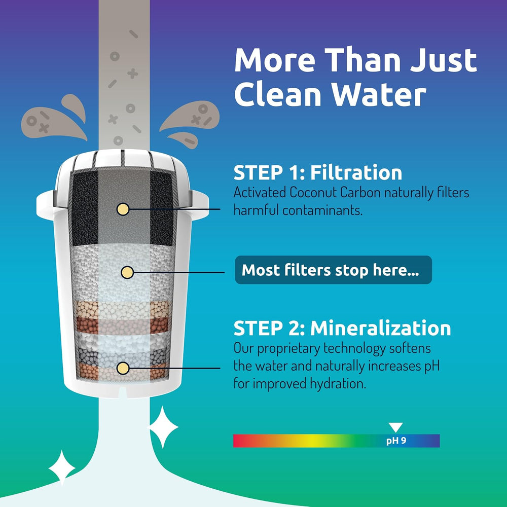 Invigorated Water PH001 Alkaline Water Filter Replacement, White