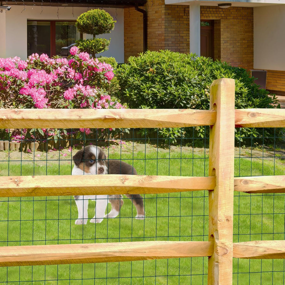 Green PVC Coated Welded Wire Fence 24" x 50' Roll, 2"x3" M...