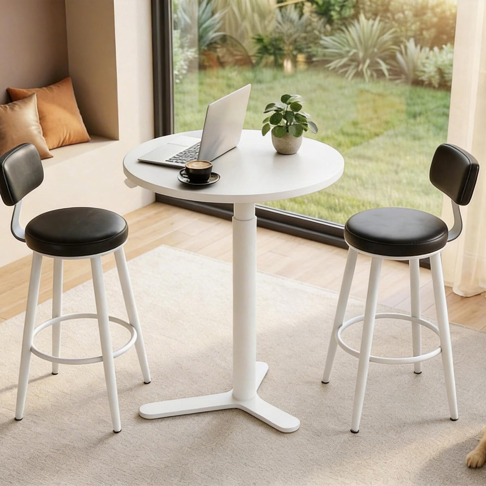 FLEXISPOT Gas Spring Lift Sit-to-Stand Table,20" Round Bar Table | With ...