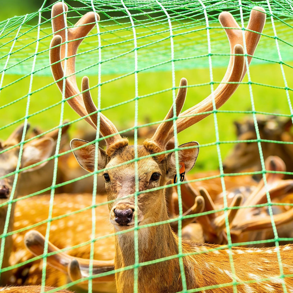 Deer Fence 4ft X 100ft Deer Fencing for Garden with 50 Cableties10 Stainless ...