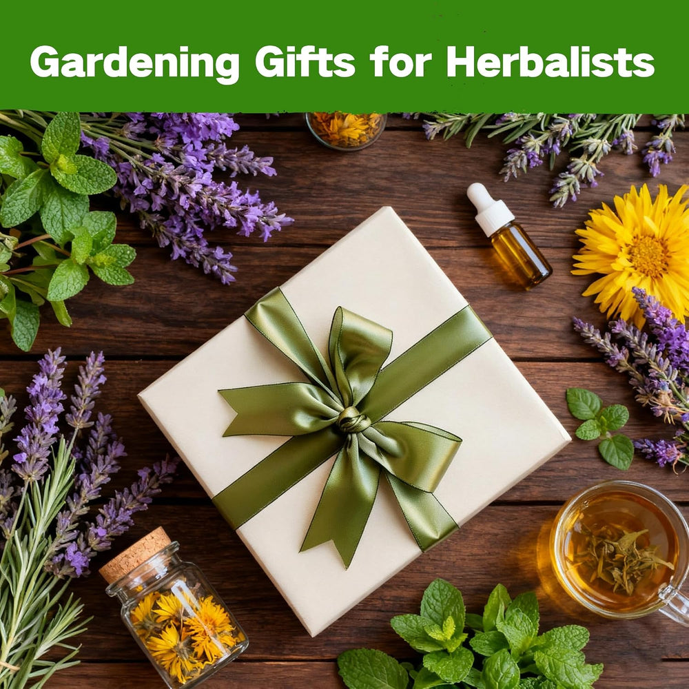 Lush&Dew Ancestral Apothecary Medicinal Tea Herb Seed Chest, Gardening Gift