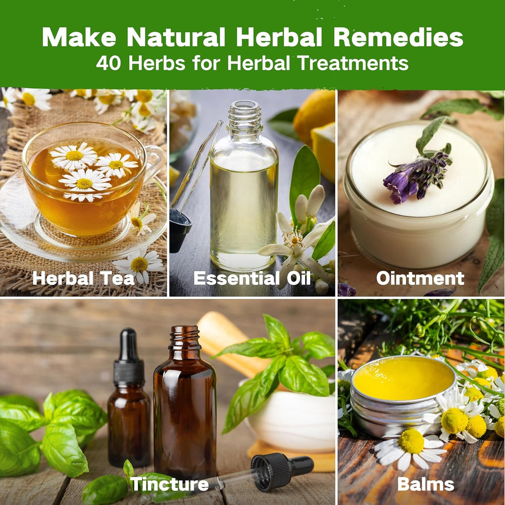 Lush&Dew Ancestral Apothecary Medicinal Tea Herb Seed Chest, Gardening Gift