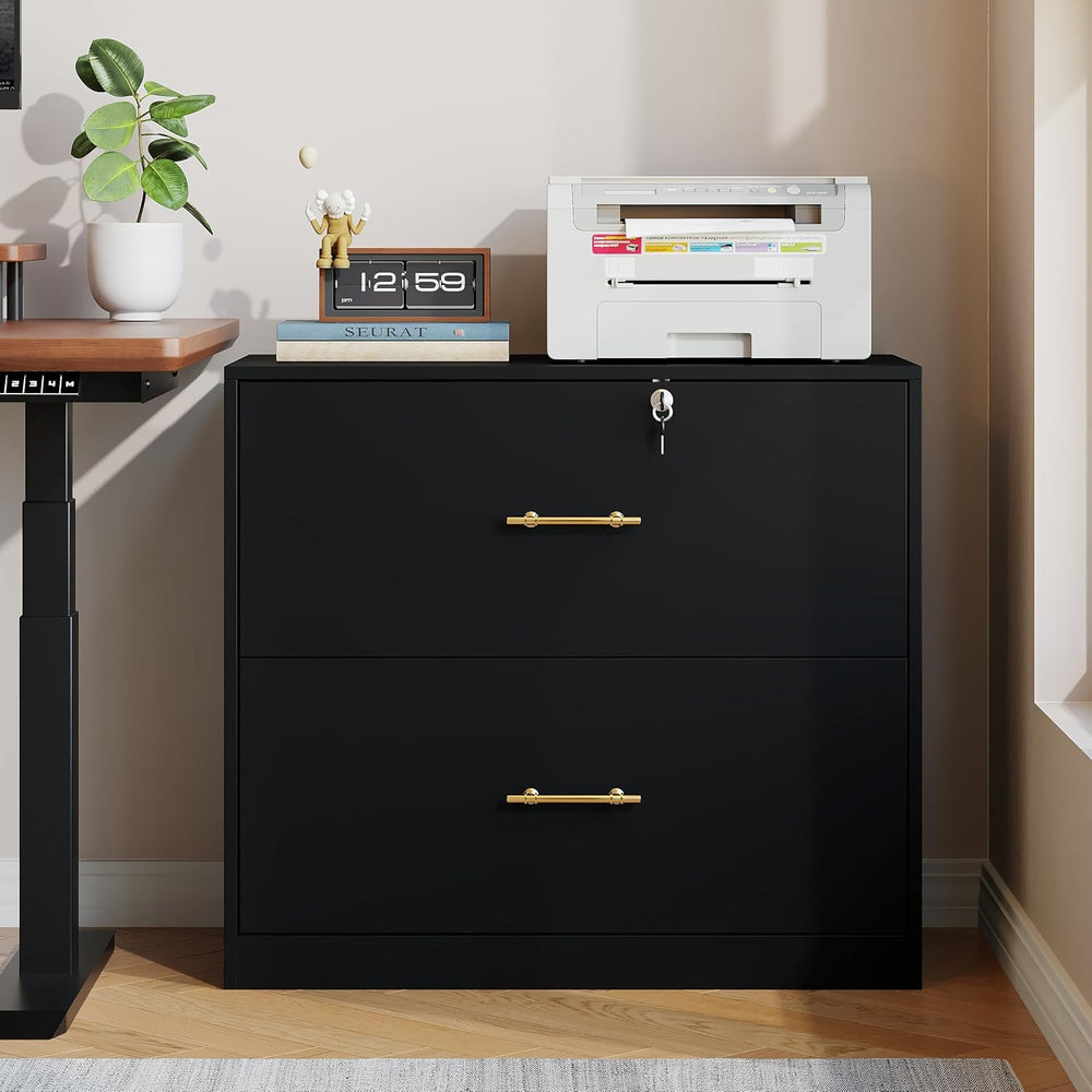 2 Drawer Lateral File Cabinet with Lock, Suitable for Letter/A4/F4/Legal Size...