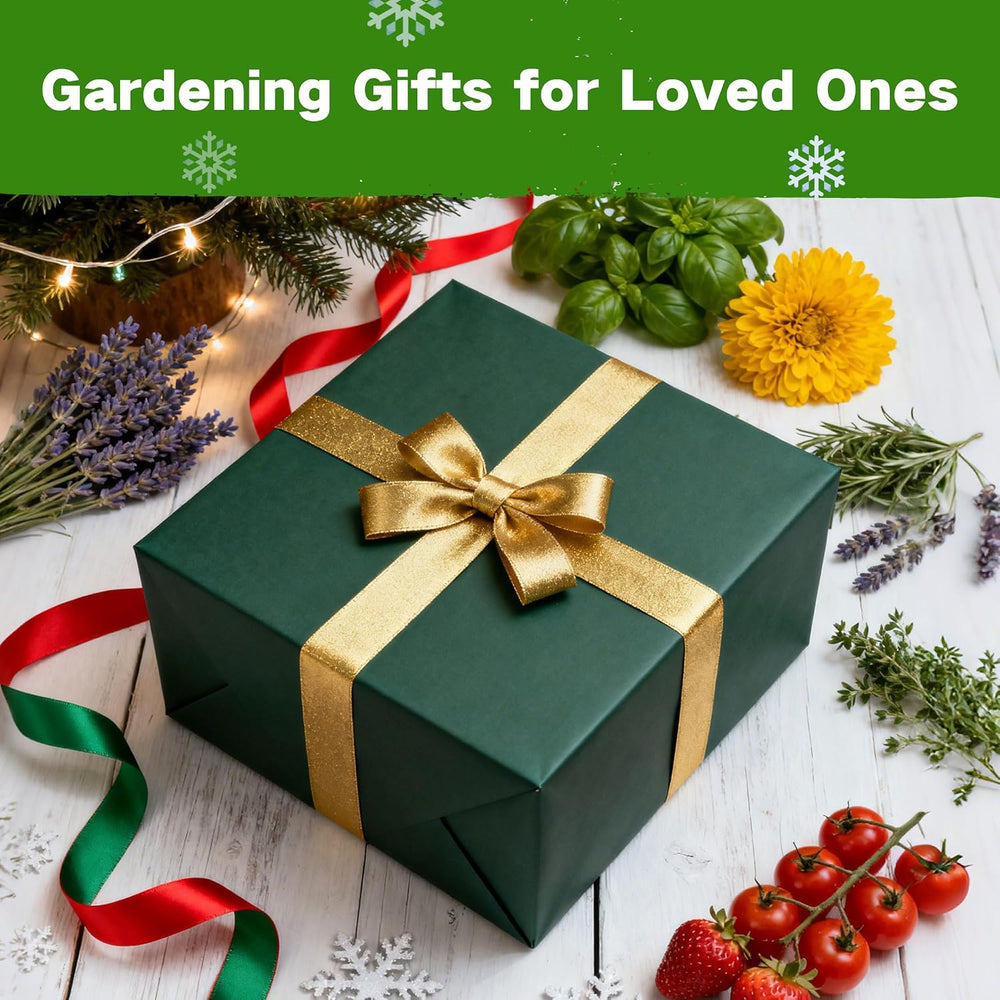Year-Round Zone 7 Seed Bank, Gift for Mom Dad, 32 Varieties Heirloom Seeds