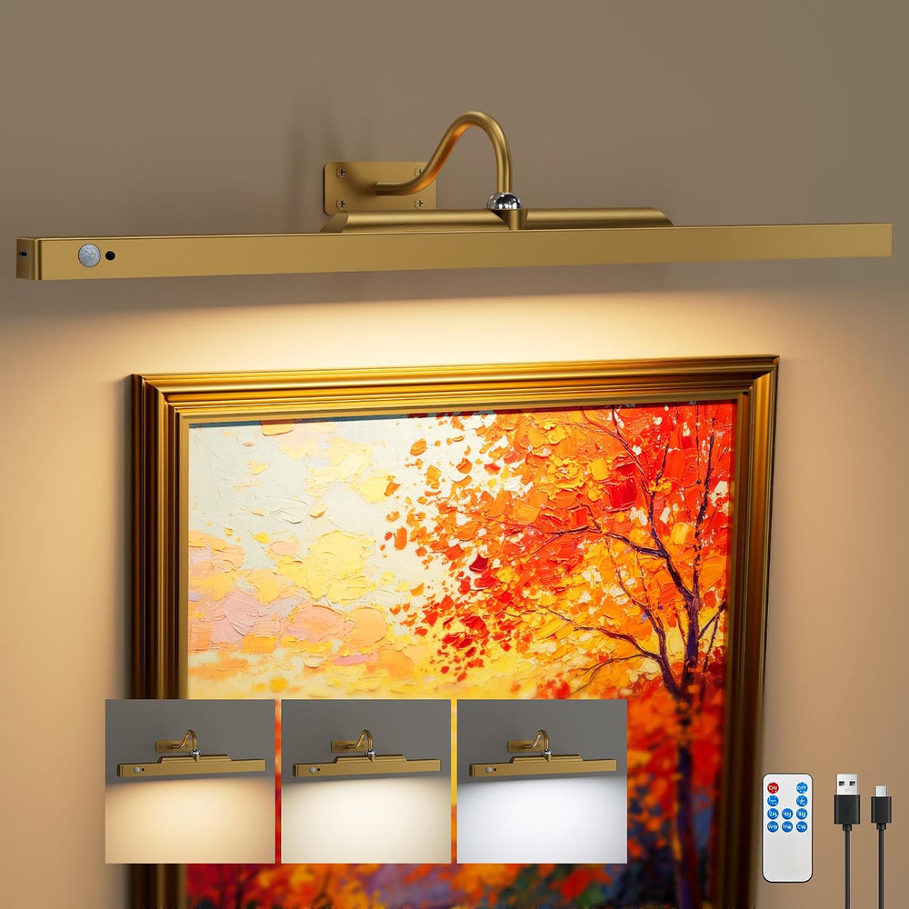 Rechargeable Motion Sensor Picture Light for Wall, 24 Inch, Brass, 1 Pack