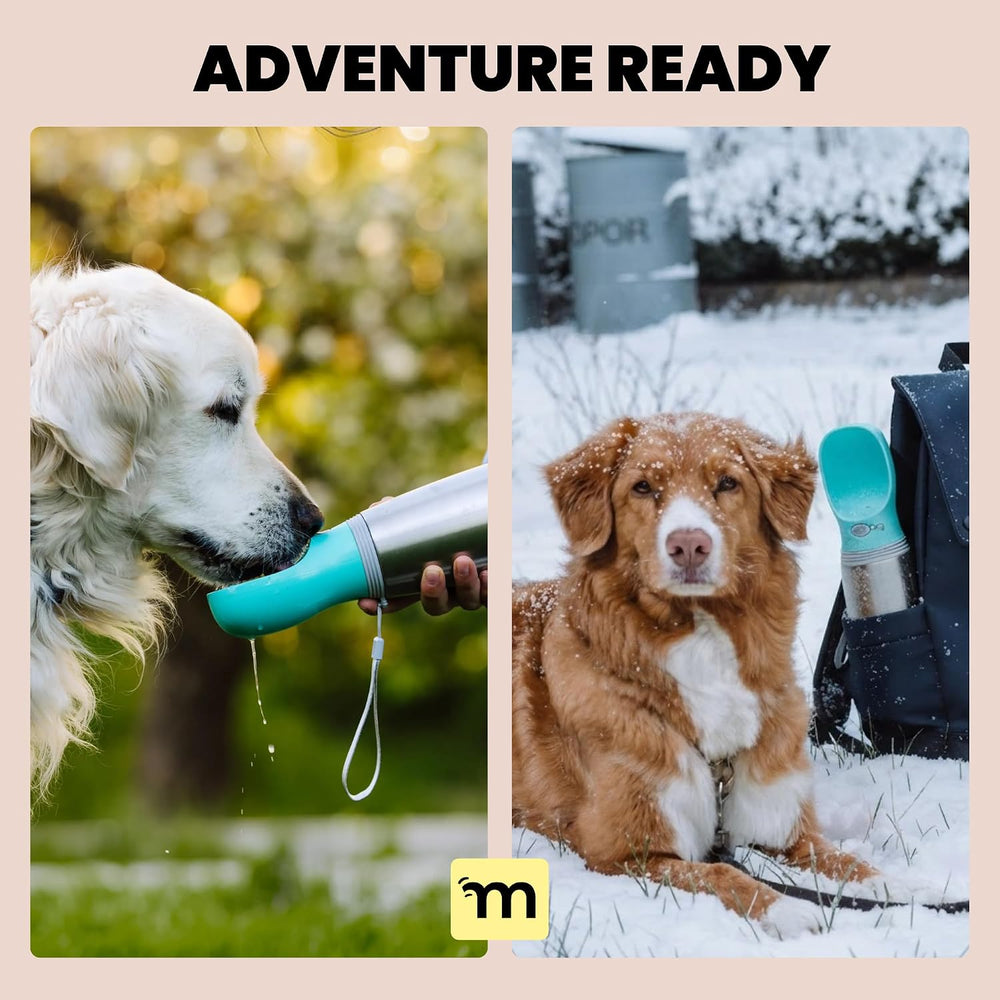 Malsipree Insulated Dog Water Bottle Portable, Leakproof Steel, Blue 24oz