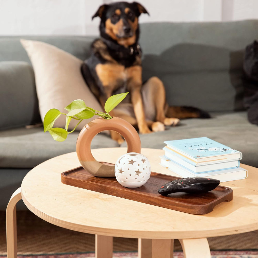 Large Solid Acacia Wood Serving Trays (17 x 6.5 inches) Rectangular Wooden Se...