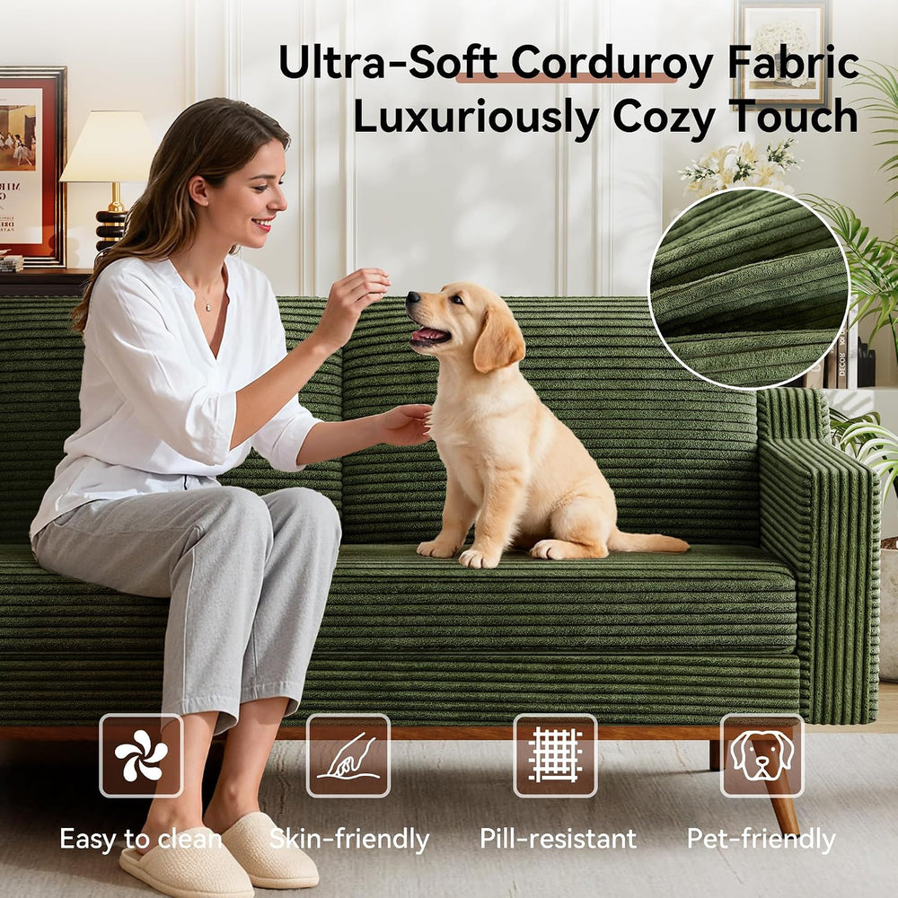 Vipbear 65.4" Loveseat Sofa,Mid-Century Modern Small Couches for Living ...