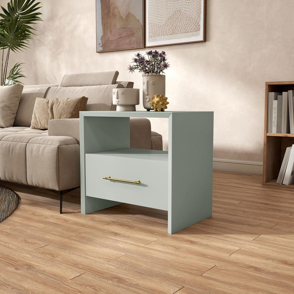HOMES: Inside + Out Elle Modern 23-inch Rectangular End Table with Drawer and...