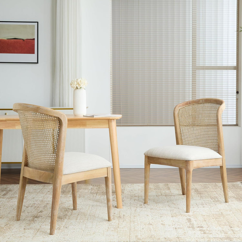 Christopher Knight Home Lilia Dining Chairs Set of 2, Modern Dining Chair wit...