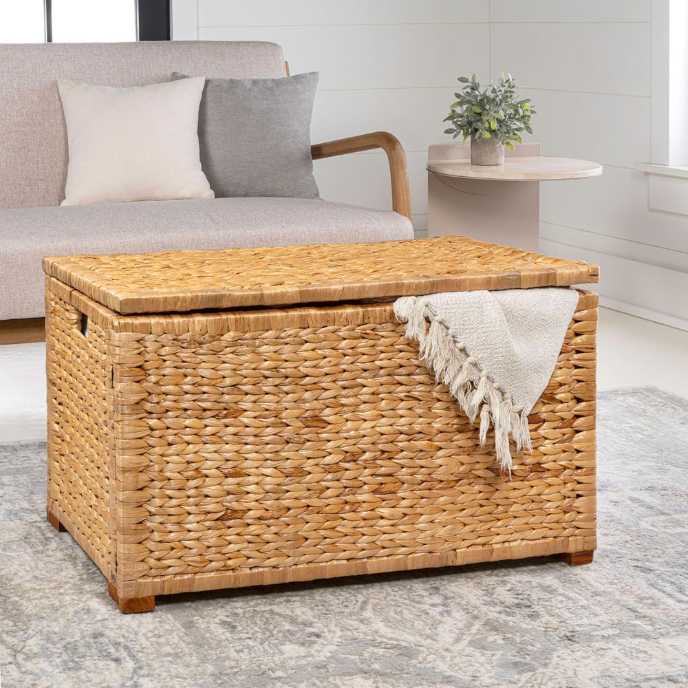 happimess HPM9005A Anada Wicker Weave 30" Storage Trunk, Wooden Frame/Wa...