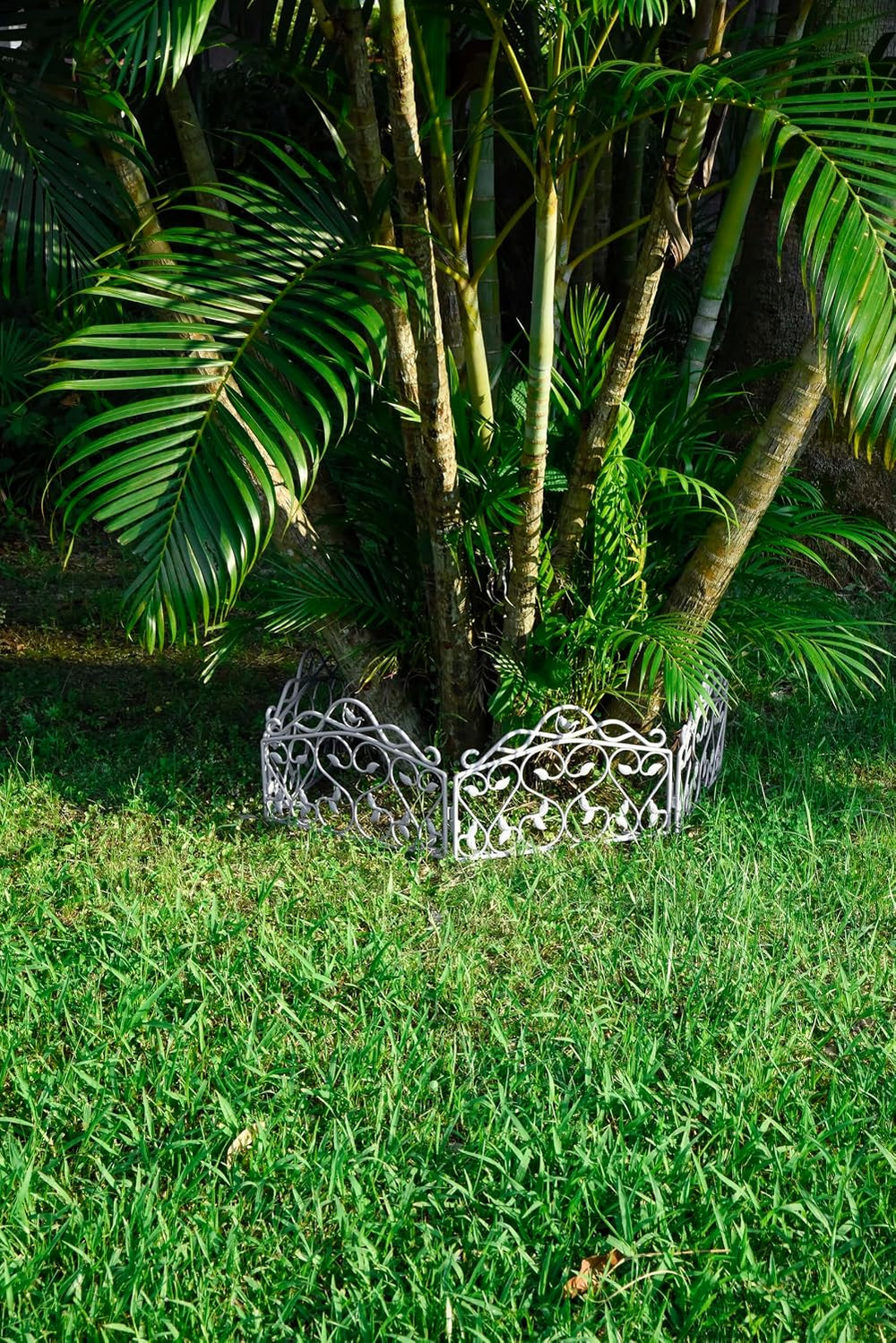 Evelyne Decorative Garden Border Plastic Edging – PP Plastic, Short Metal-Fre...