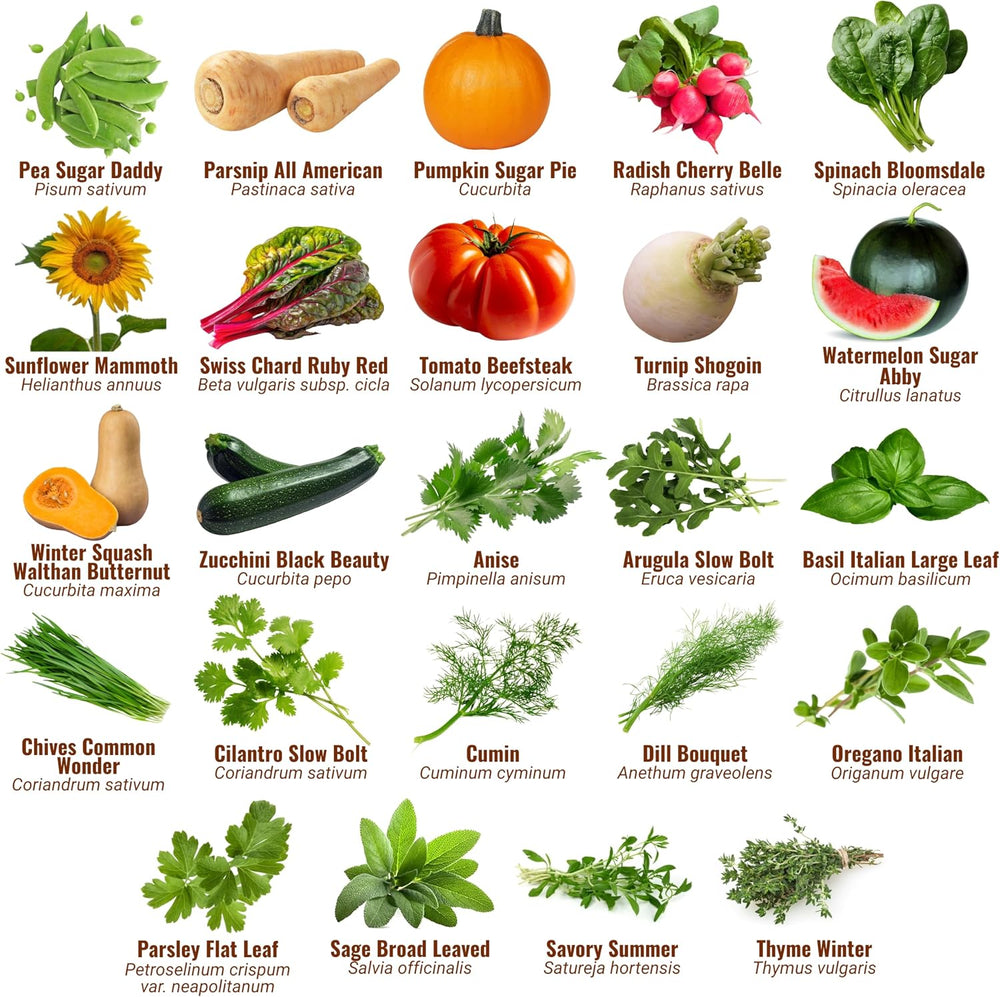 Vegetable, Fruit & Herb Seeds, 44 Packs, Non-GMO, 15,000+ Seeds