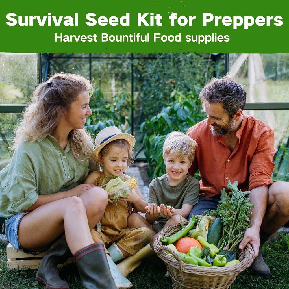 LUSH&DEW Raised Garden Bed Heirloom Seed Bank, 32 Type 30000+ Non-GMO Seeds