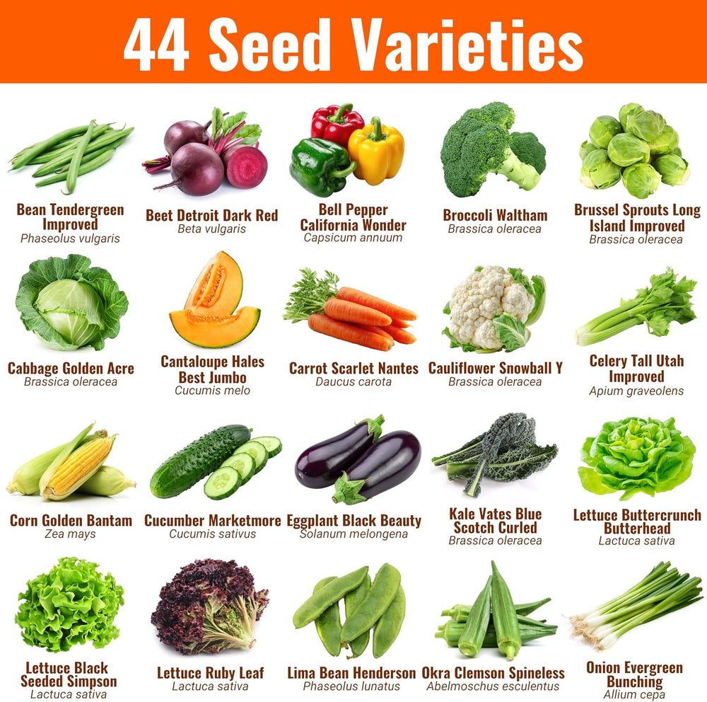 Vegetable, Fruit & Herb Seeds, 44 Packs, Non-GMO, 15,000+ Seeds