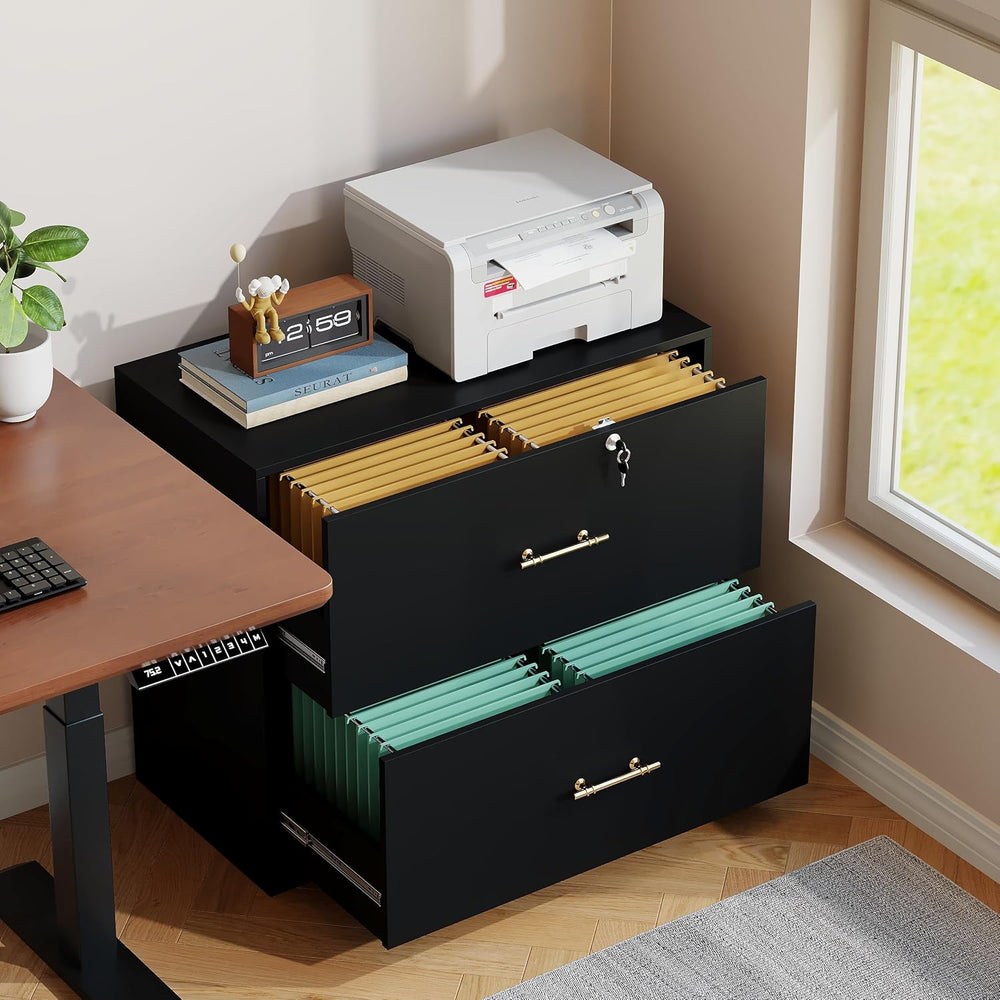 2 Drawer Lateral File Cabinet with Lock, Suitable for Letter/A4/F4/Legal Size...