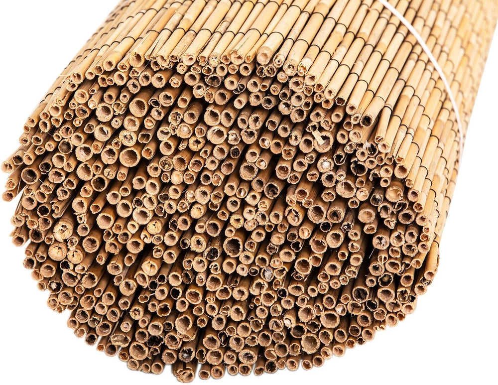FOREVER BAMBOO Jumbo Reed Bamboo Screen Fencing Privacy Fence Backyard Divide...
