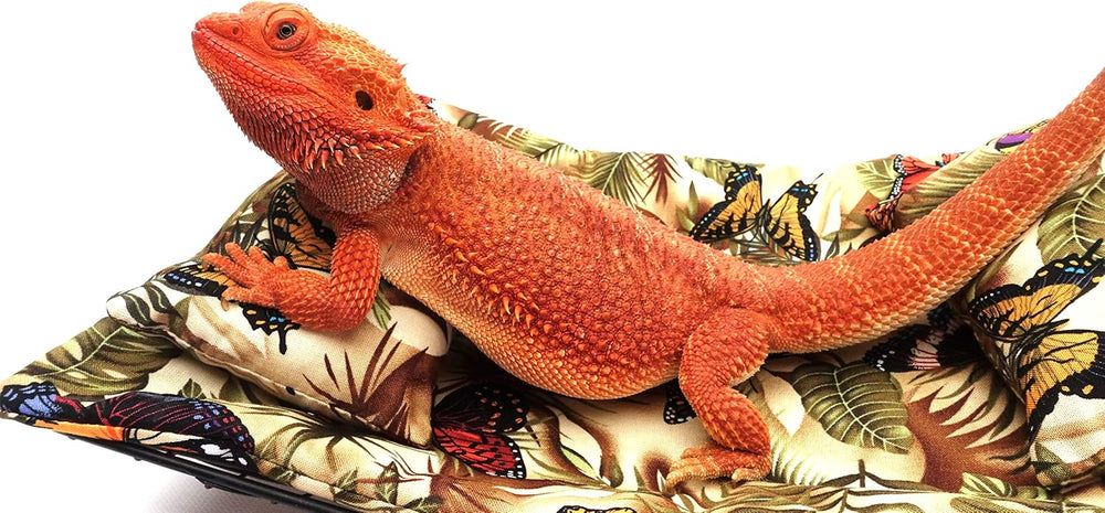 Chaise Lounge for Bearded Dragons, Butterflies and Leaves Fabric