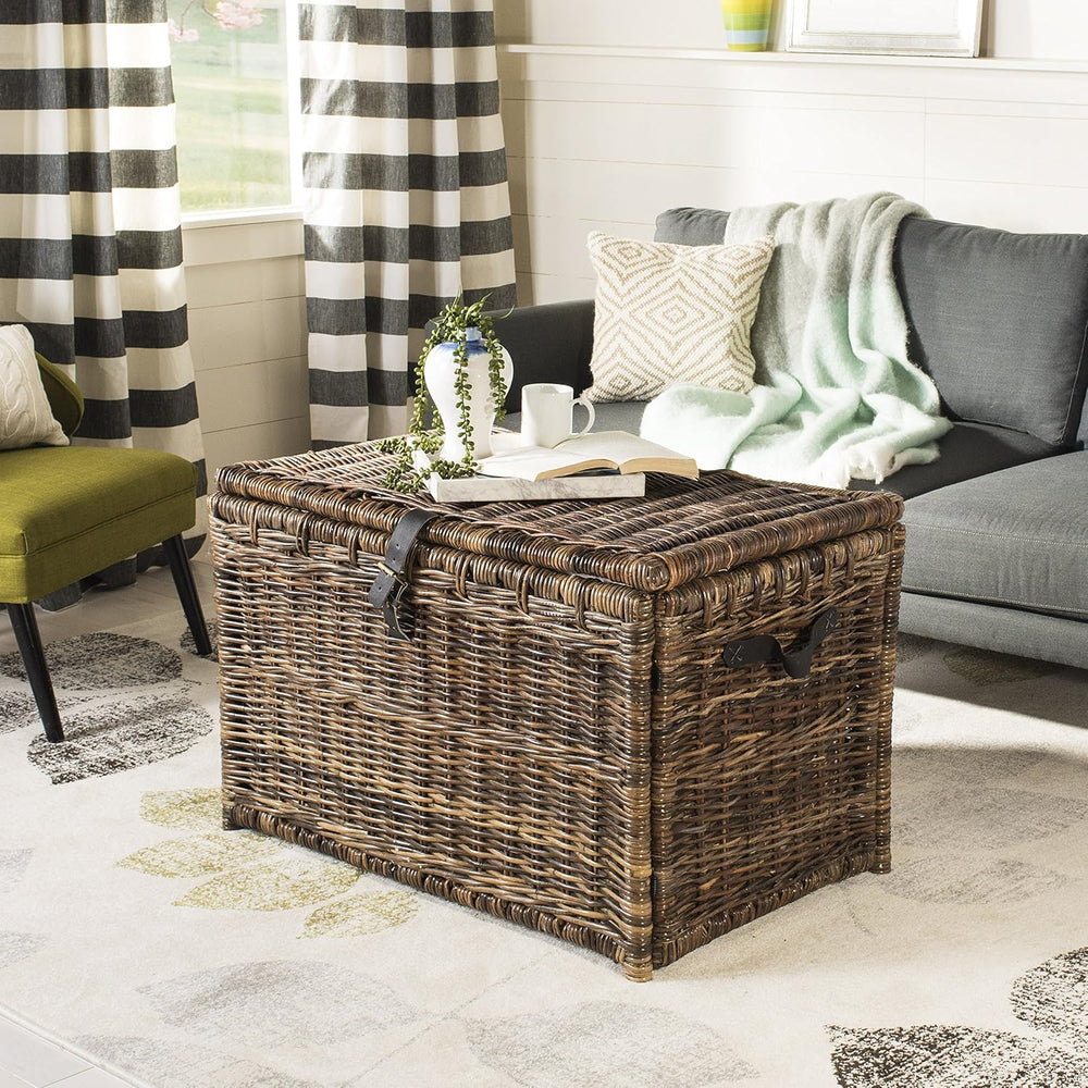 happimess Michael Wicker Storage Trunk Collapsible Chest 35.5", Brown | ...