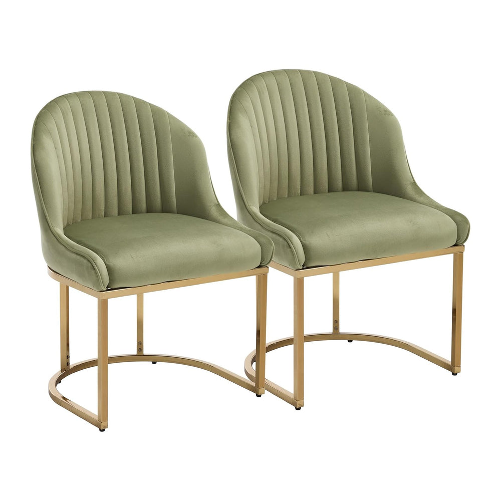 Velvet Dining Chairs Set of 2, Upholstered Dining Room Chairs with Silver Met...