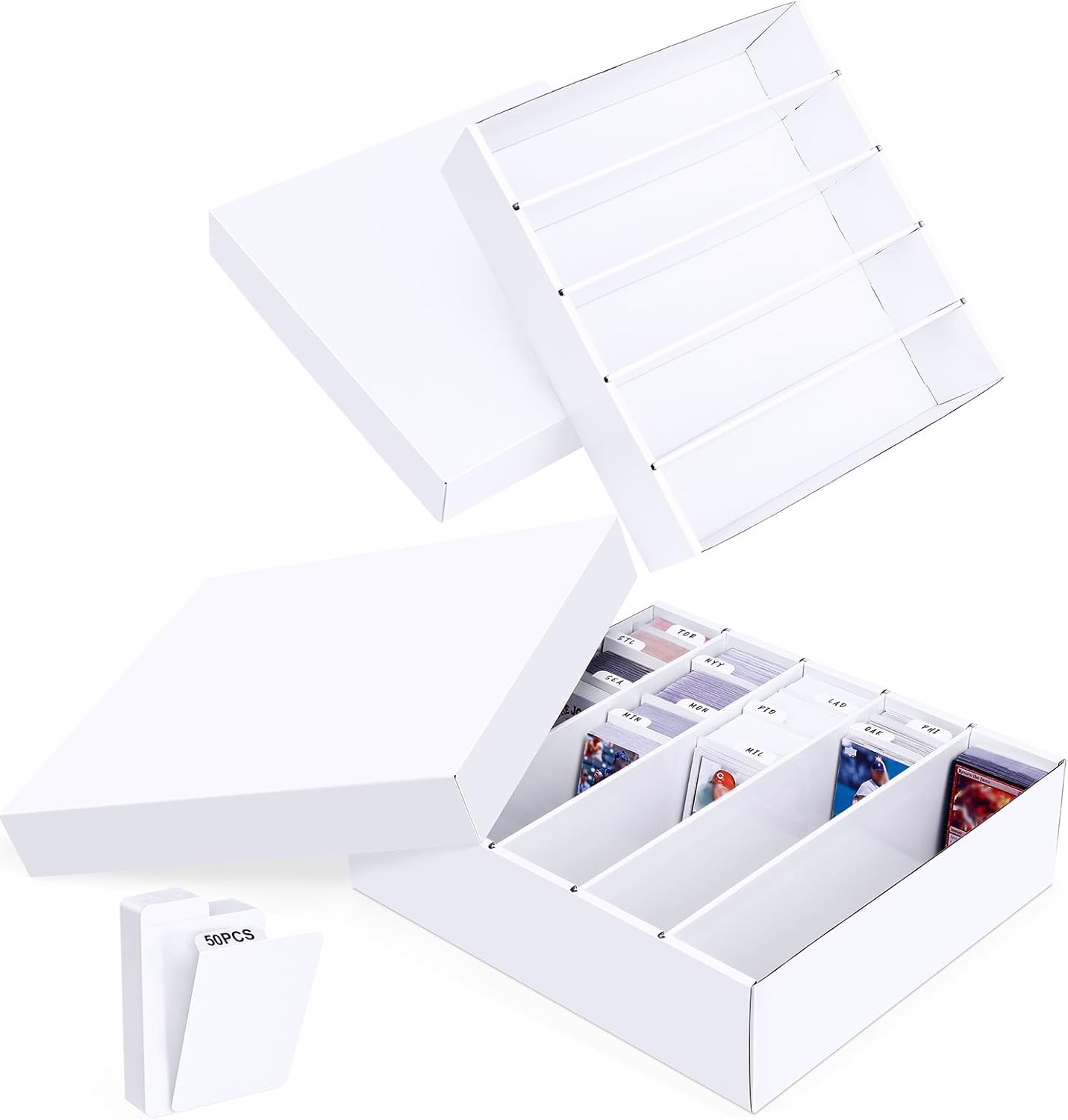 Collectible Display & Storage