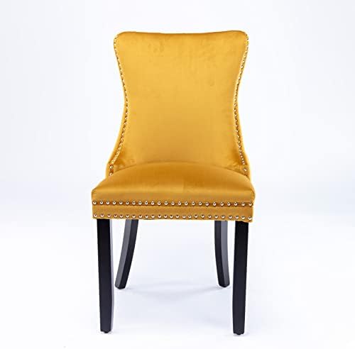Set of 2 Velvet Dining Chair with Backstitching Nailhead Trim and Solid Wood ...