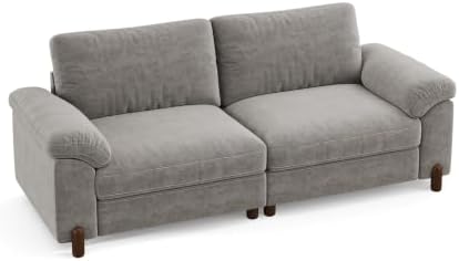 SITJOY Cloud Couch Sectional, 2 Seater Loveseat Chenille in Light Gray | Deta...