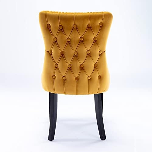 Set of 2 Velvet Dining Chair with Backstitching Nailhead Trim and Solid Wood ...