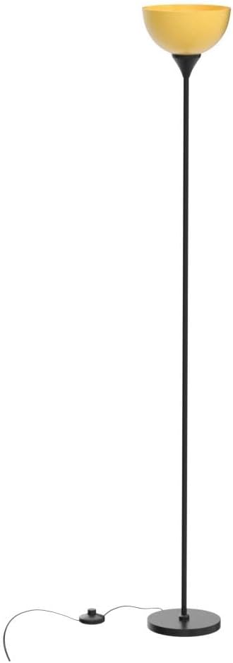 PESRAE Floor Lamp, Remote Control, Stepless Brightness & Color Temperature