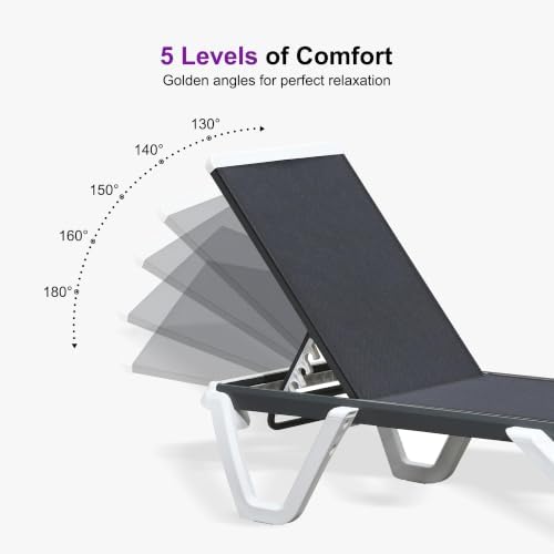 PURPLE LEAF Paiot Chaise Lounge Set of 2 Chaise Lounge w/Wheel, Dary Grey | S...