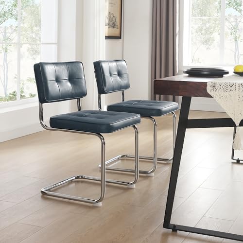 ONEVOG Retro Kitchen & Dining Chairs Set of 2, Mid Century Modern Dining ...